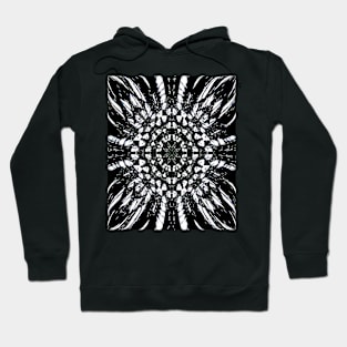 Perspectivesc5b Hoodie